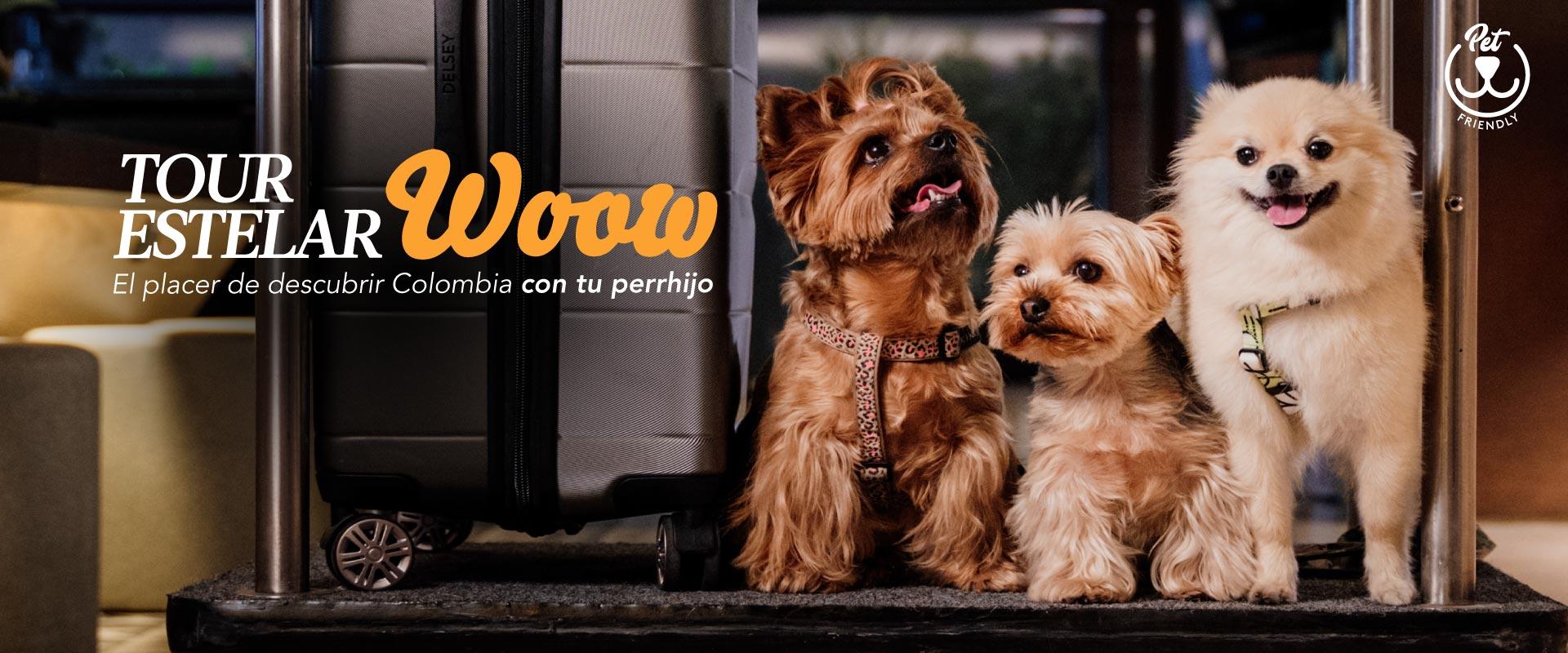 ESTELAR Cartagena de Indias Hotel & Centro de Convenciones Colombia - Cartagena ESTELAR Cartagena de Indias Hotel & Centro de Convenciones Colombia - Cartagena